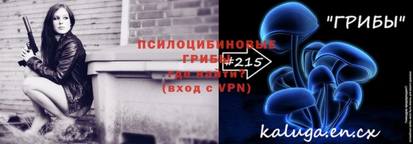 не бодяженный Ельня