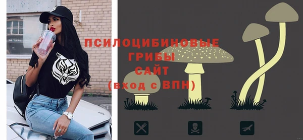 спайс Елабуга