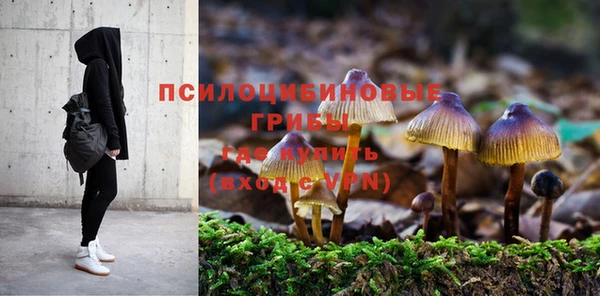мескалин Елизово