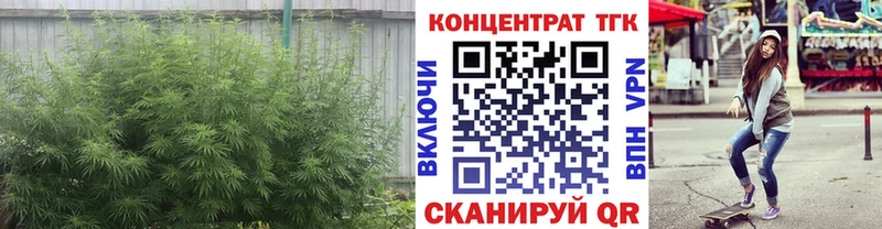 Дистиллят ТГК Wax  Красногорск 